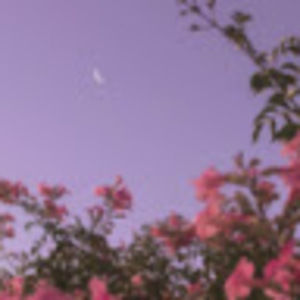 Meet your Posher, Isabelle